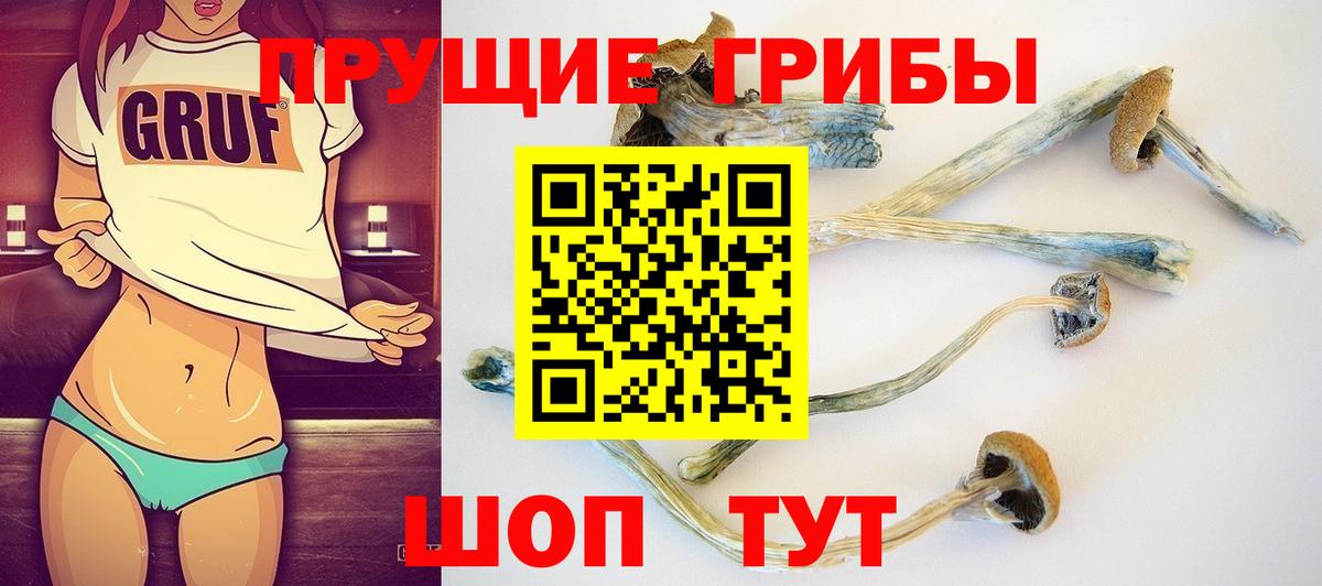 дарнет шоп  Вход с VPN  Ярославль  Псилоцибиновые грибы Magic Shrooms 